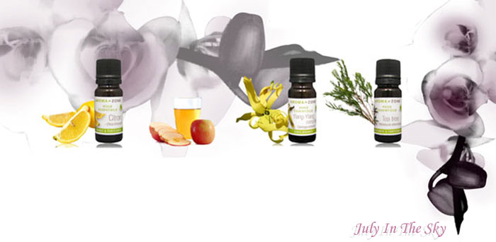 blog beauté astuces naturelles soin cheveux brillance vinaigre cidre huile essentielle citron ylang arbre thé avis