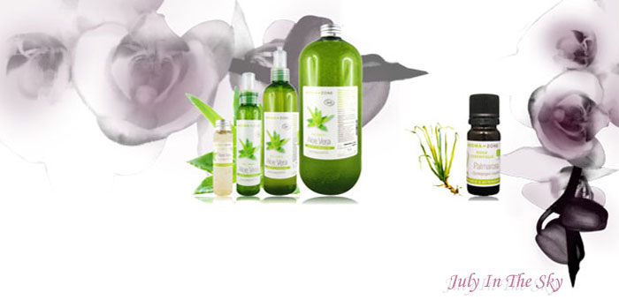 blog beauté astuces naturelles déodorant gel aloe vera huile essentielle palmarosa avis