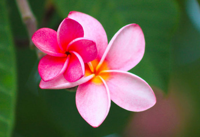 Le Tag de la blogueuse Beauté