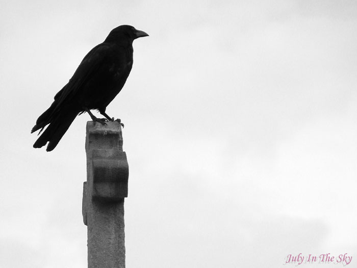 Sur un air de Six Feet Under… le cimetière Montparnasse