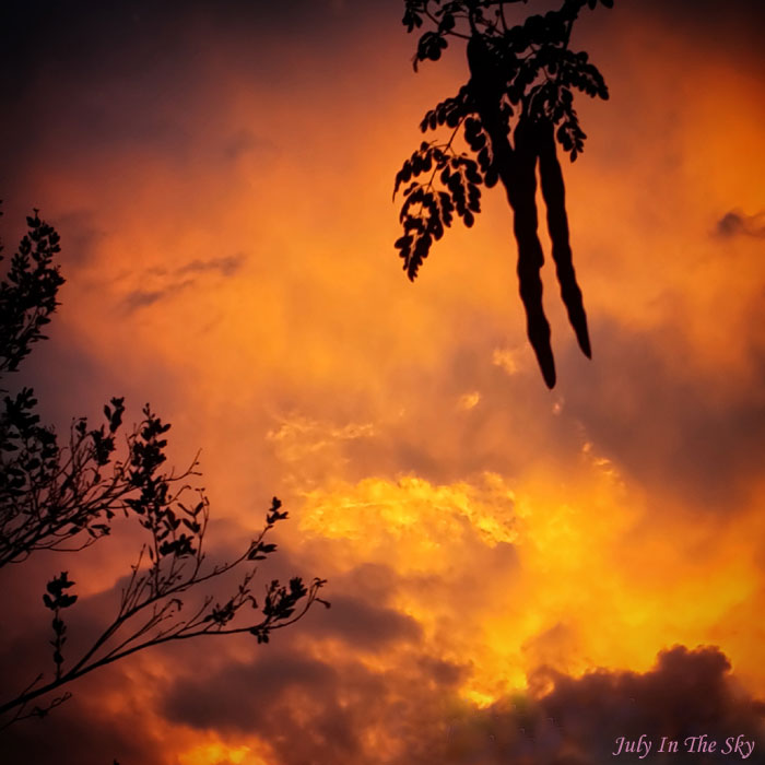 photographie art coucher soleil antilles tropiques sunset