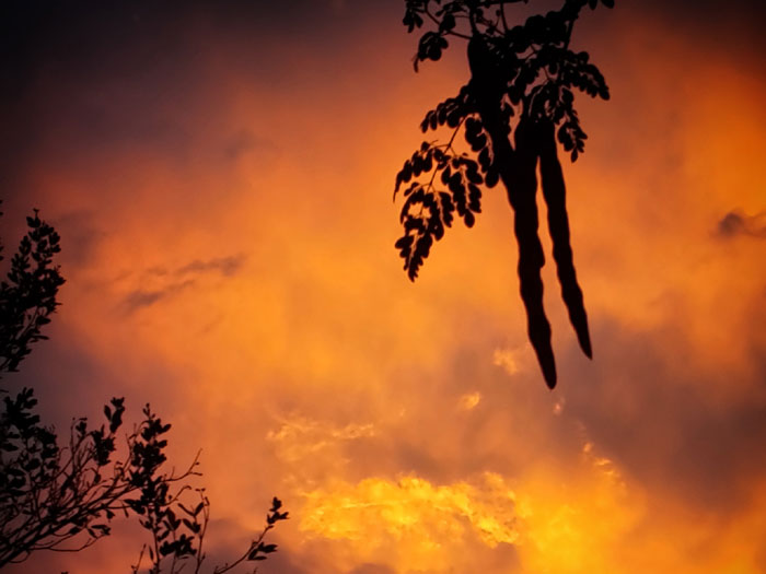 Coucher de soleil sur les tropiques