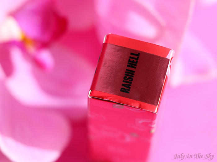 blog beauté lime crime velvetines raisin hell