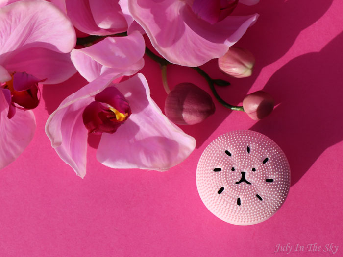 blog beauté kbeauty yestsyle Exfoliating Jellyfish Silicon Brush Etude House