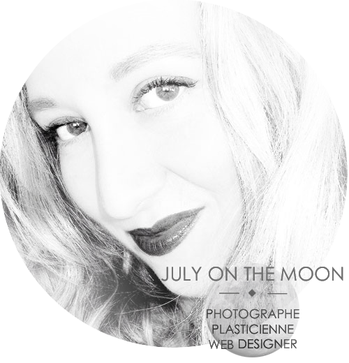 July On The Moon : atelier photo tutoriel portfolio art